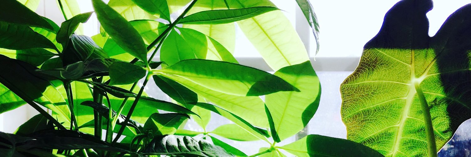 alextravonne's profile banner image