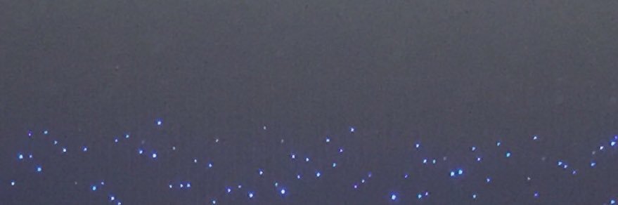 starppp_rin's profile banner image
