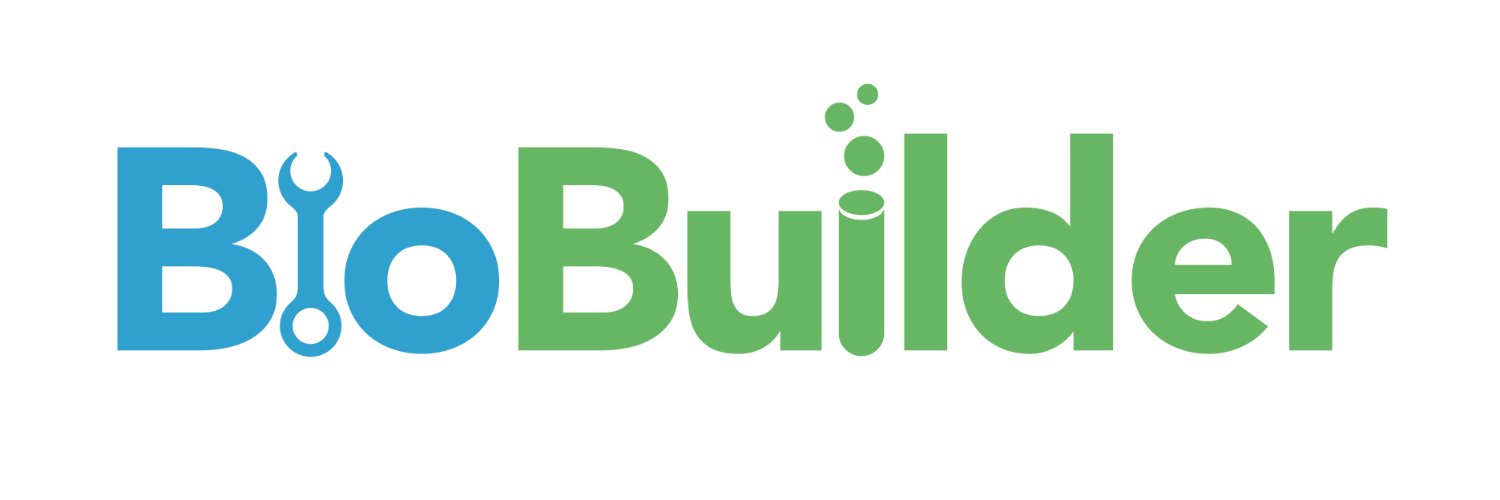 Systems Sally banner