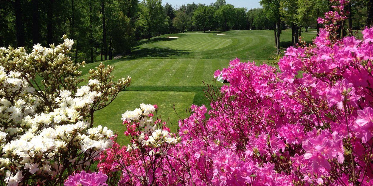 HillendaleTurf's profile banner image