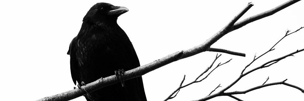 vengeance_DC's profile banner image
