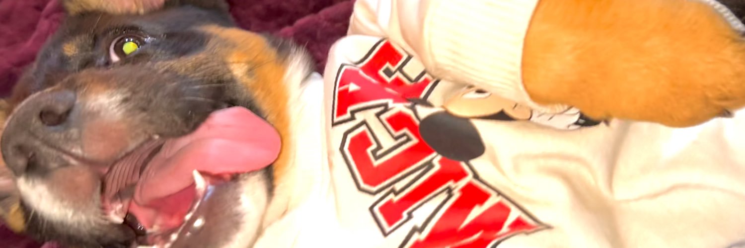 swaggiest_jess's profile banner image