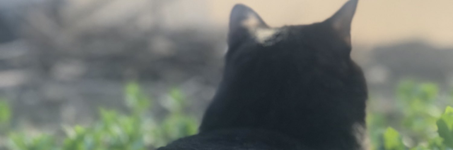 a_salgado10's profile banner image