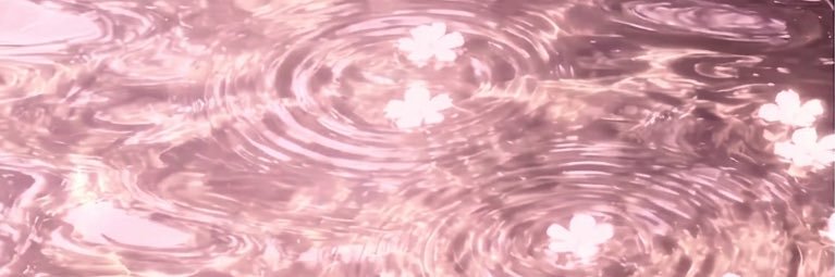 valleylynndiard's profile banner image