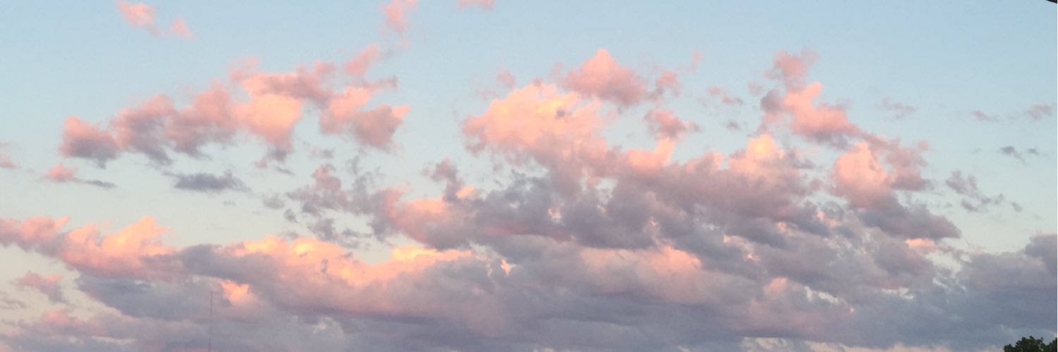 DawnMHibbard's profile banner image