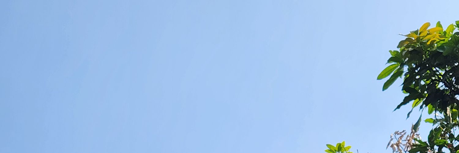 riorawwr's profile banner image