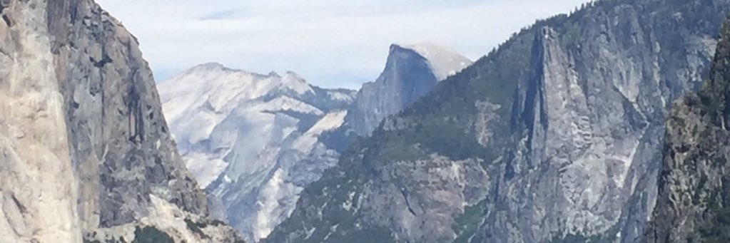 MeghanTamane's profile banner image