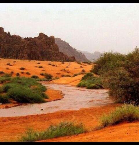 الجـــدي banner