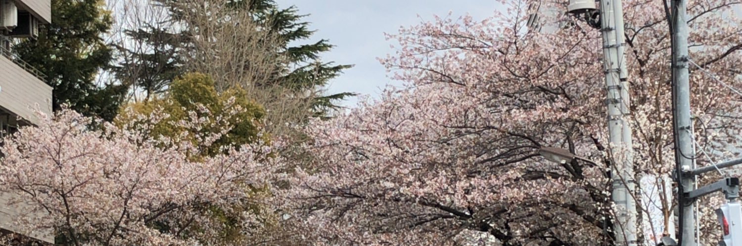 motimoti_623's profile banner image
