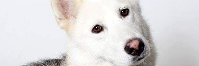 Xanderwills's profile banner image