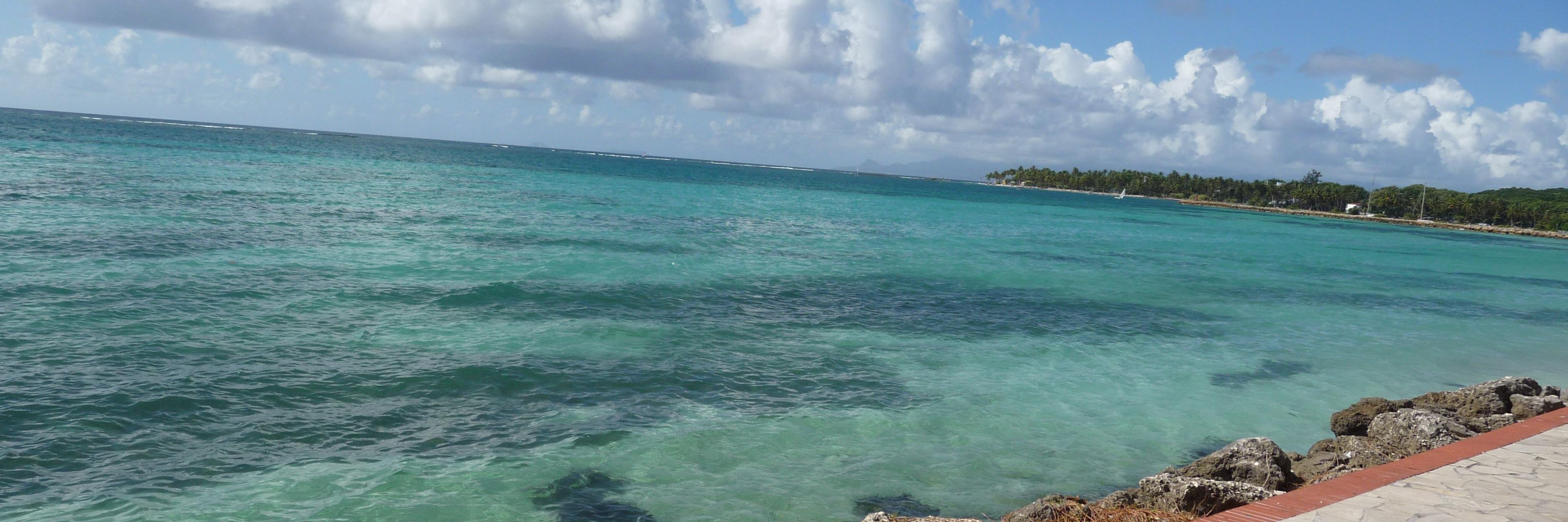 stephanie_hatte's profile banner image