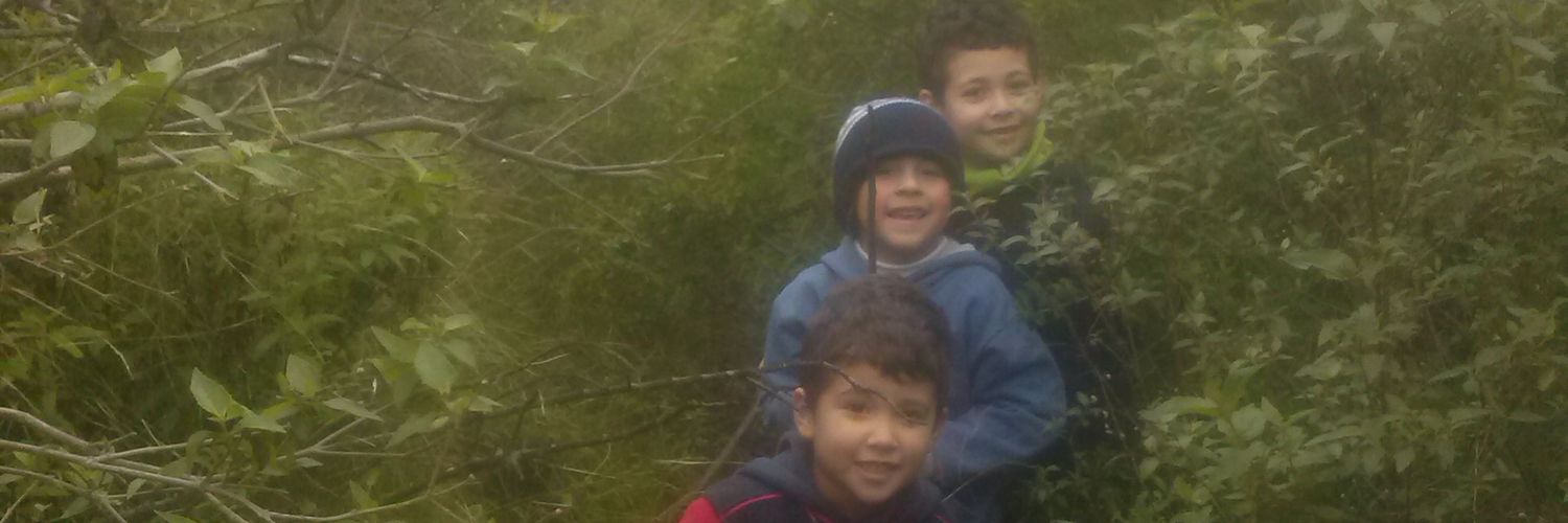 rorroroc's profile banner image