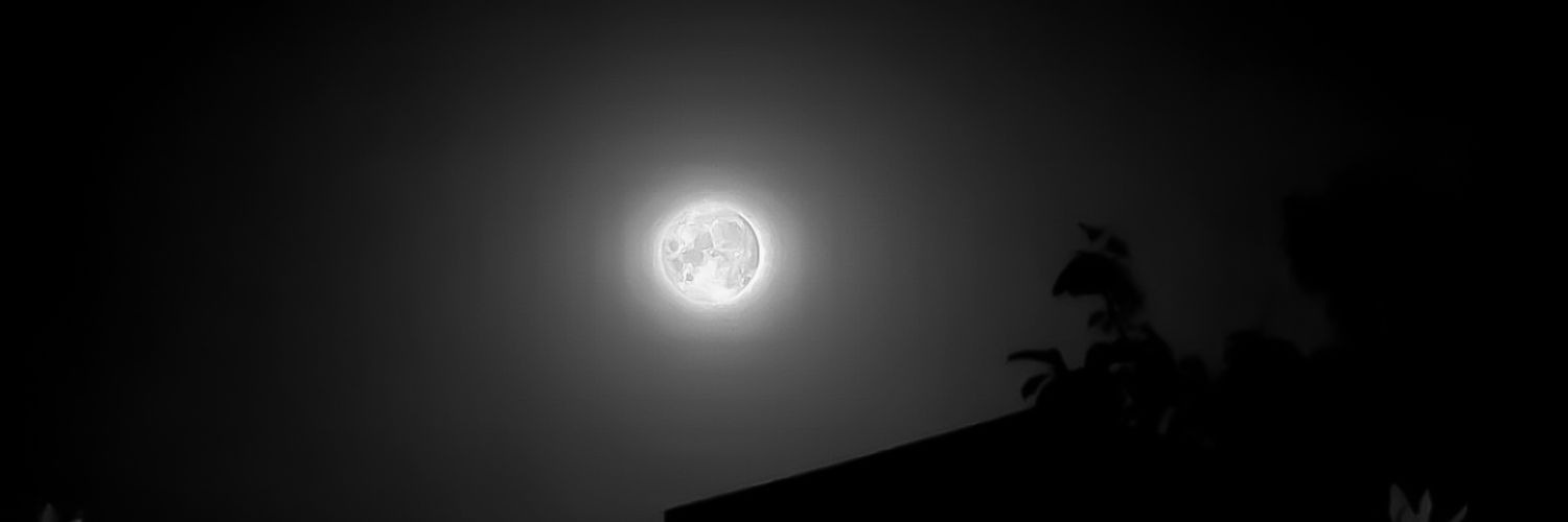 LauraForese's profile banner image