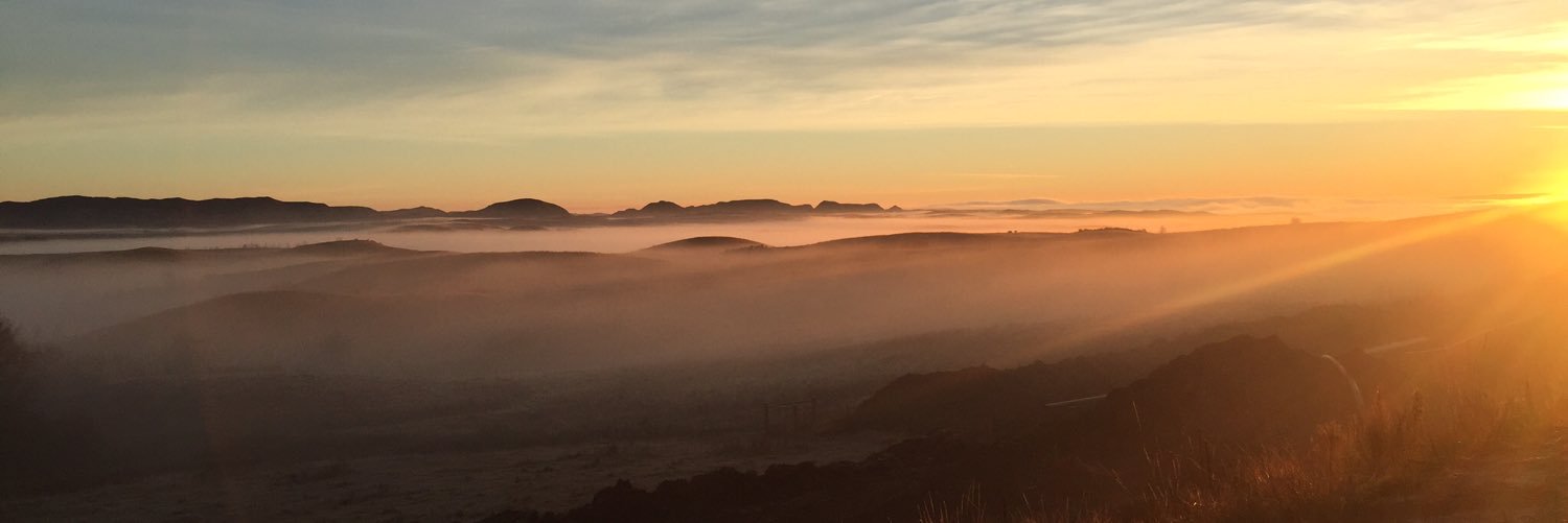 jollymae's profile banner image