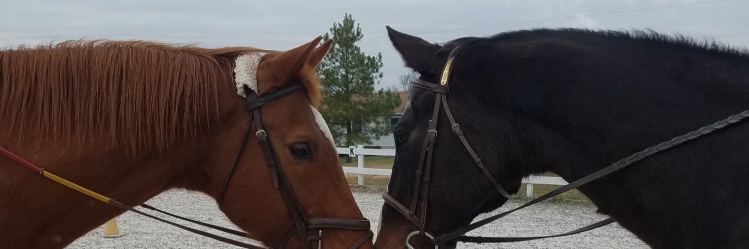 ChaseTuel's profile banner image