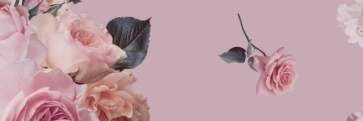 agusnsalinas's profile banner image