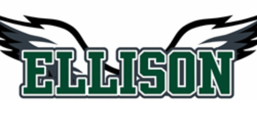 EHS Track & Field banner