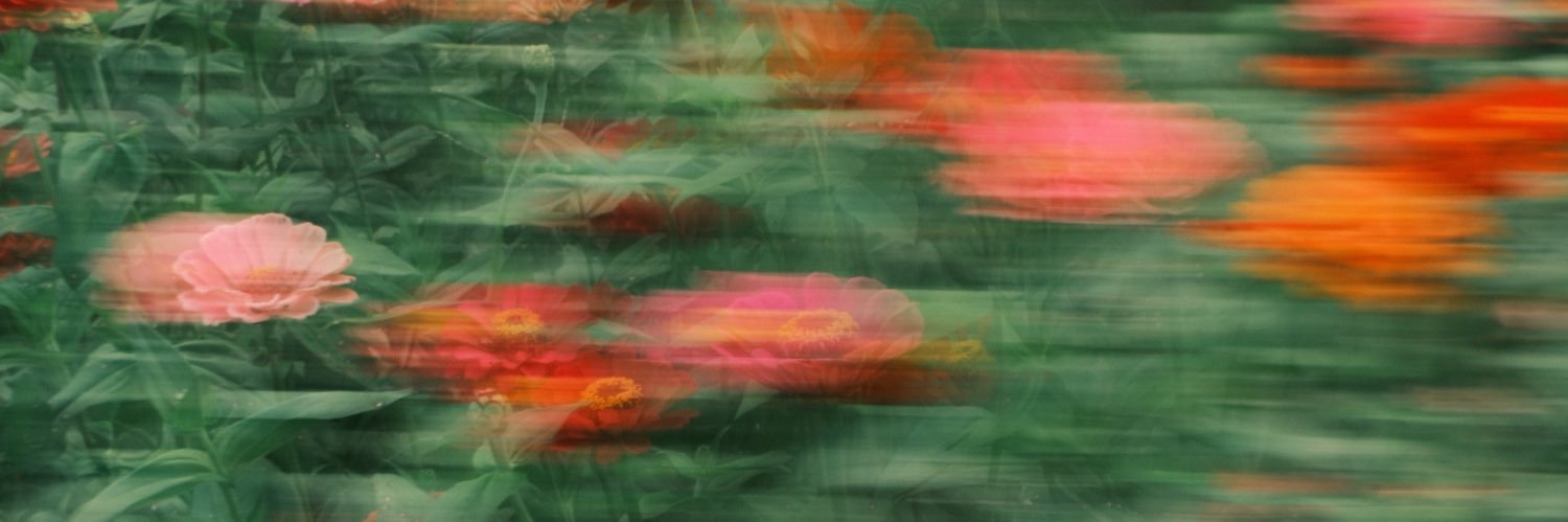 Bhuff_21's profile banner image