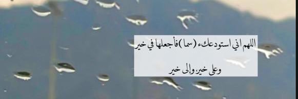 Basmahali0's profile banner image