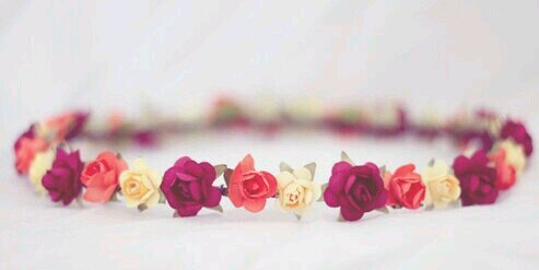 amnaviolet's profile banner image