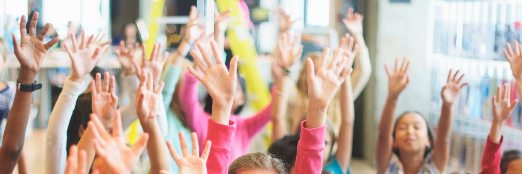 Mentor International banner