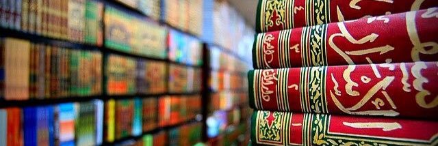 SyedAliiShah110's profile banner image
