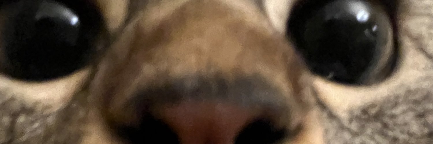 logibeargang's profile banner image