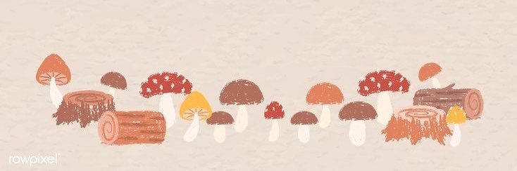 arrizex's profile banner image
