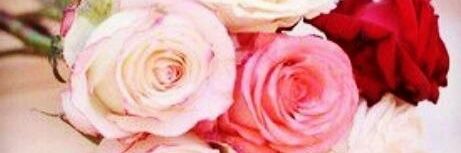 Ahood22332's profile banner image