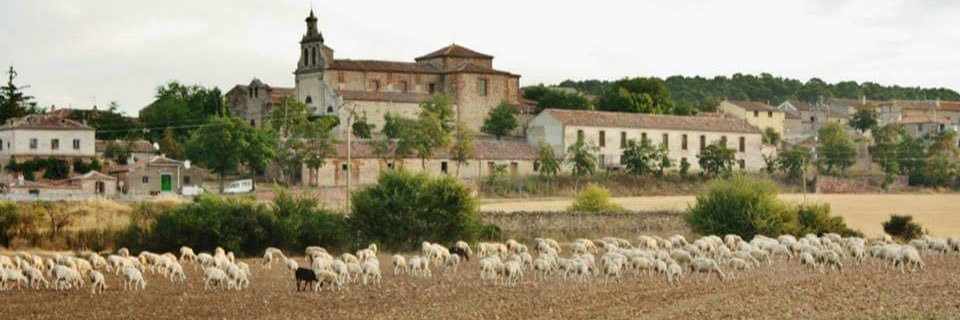 Barbatona banner
