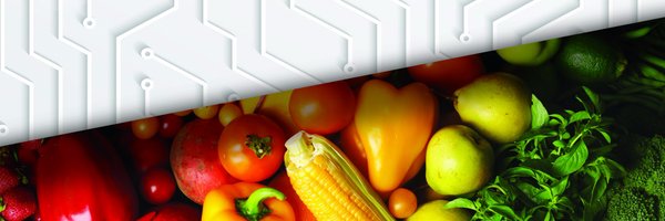 Illumitex Profile Banner