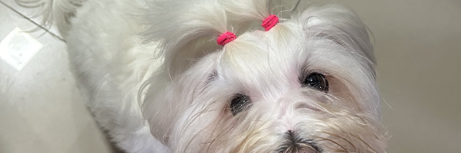 watermeloxhigh's profile banner image