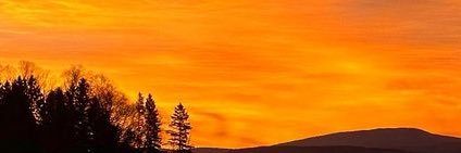 Steve banner