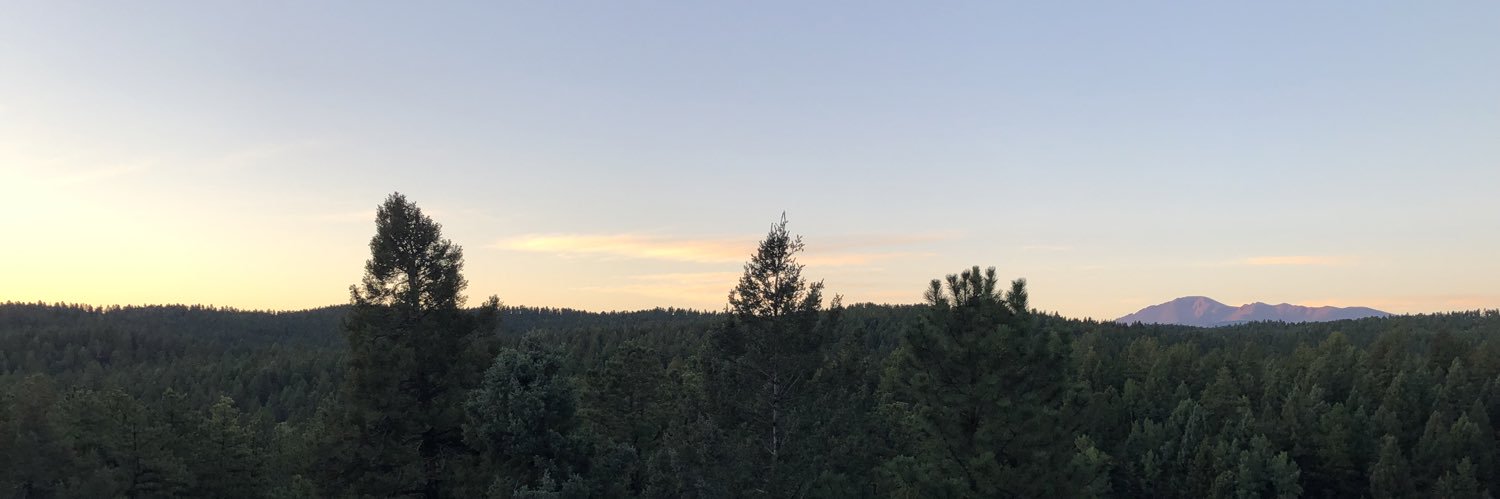 Legally Immature banner