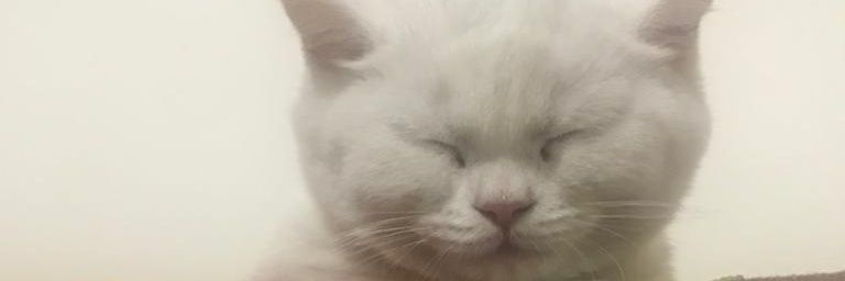 omrfrtkck's profile banner image