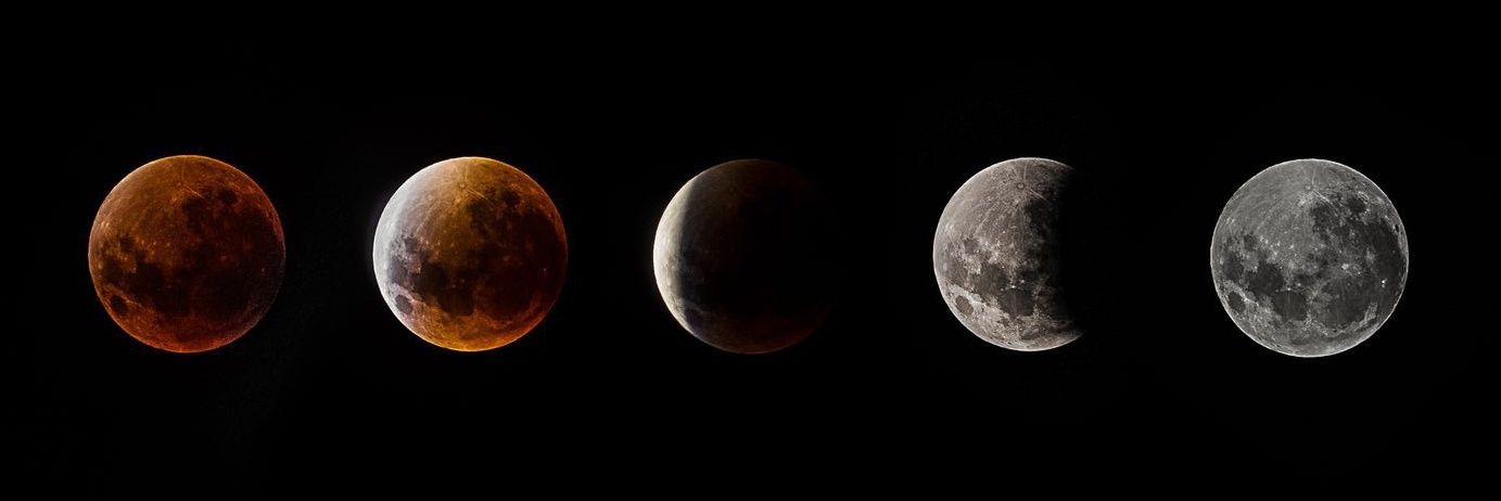 chicapuma_leslly banner