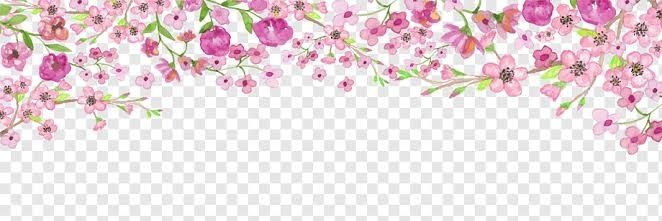 claudyatomor's profile banner image