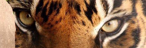 Sarah21h's profile banner image