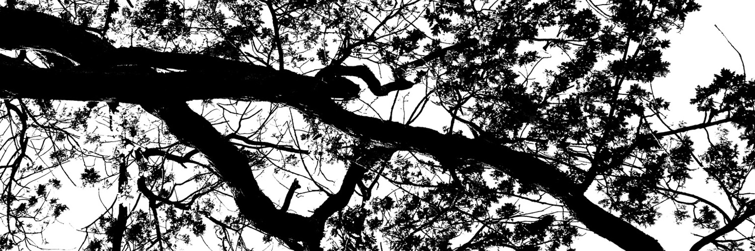 Antares, The Shinigami. banner