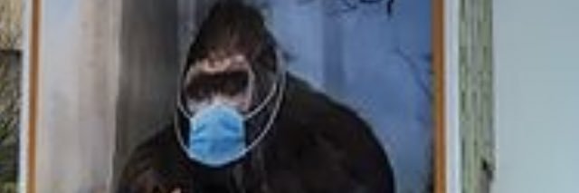 SasquatchP's profile banner image