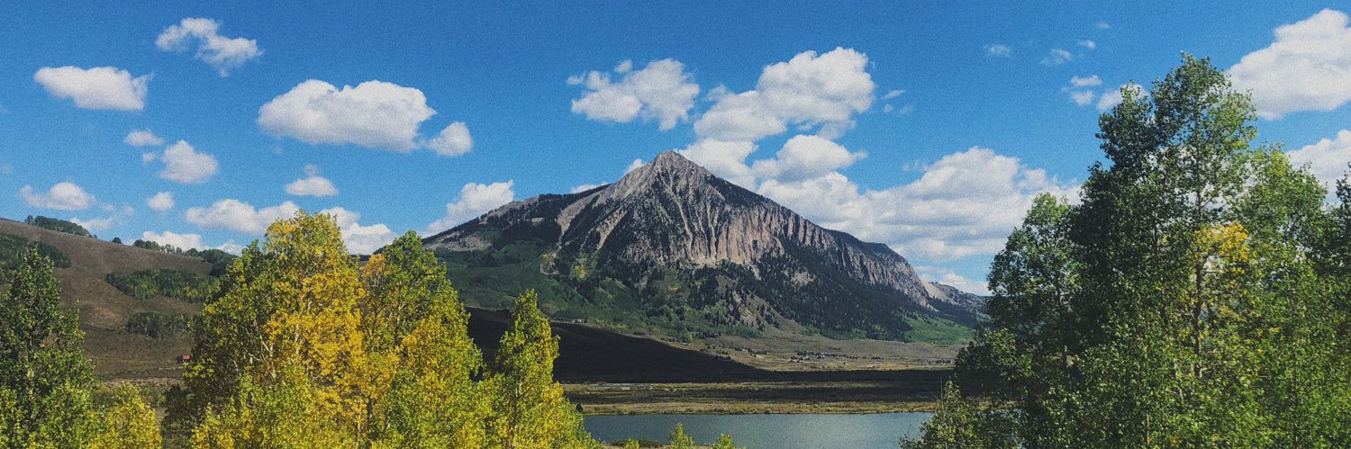 brooklynmohr's profile banner image
