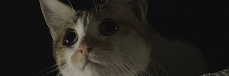 CryptLife3's profile banner image