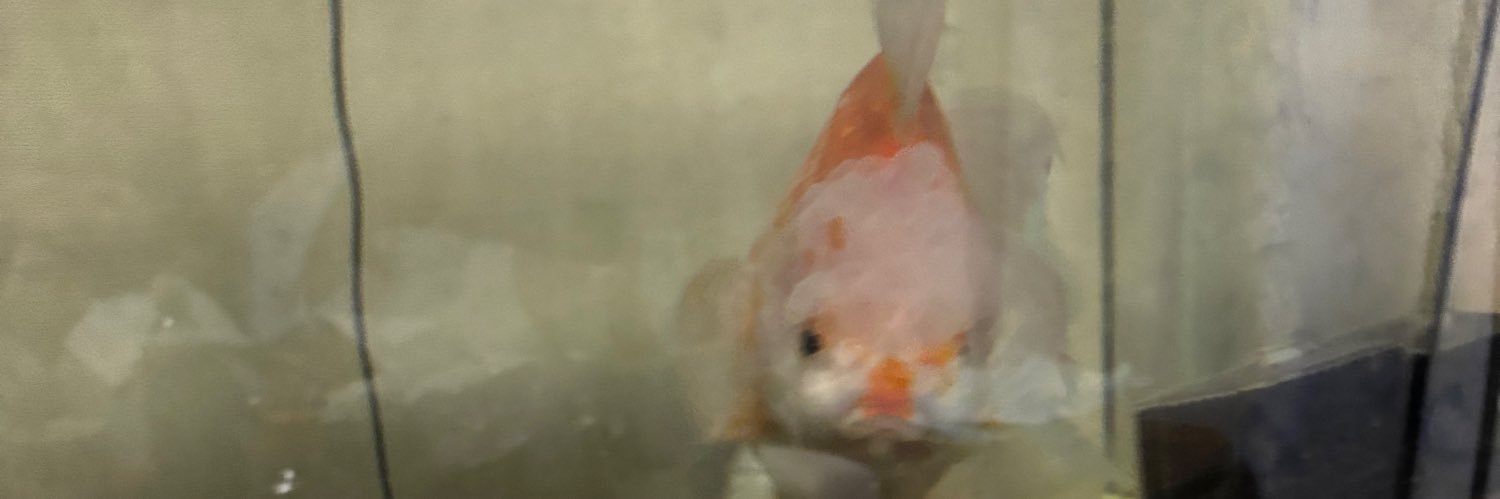 kaitotsuyoshi's profile banner image