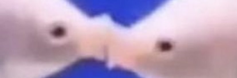 aveyjae's profile banner image