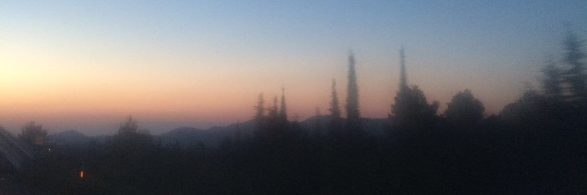 _molllly's profile banner image