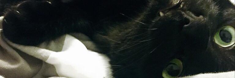 socundofi's profile banner image