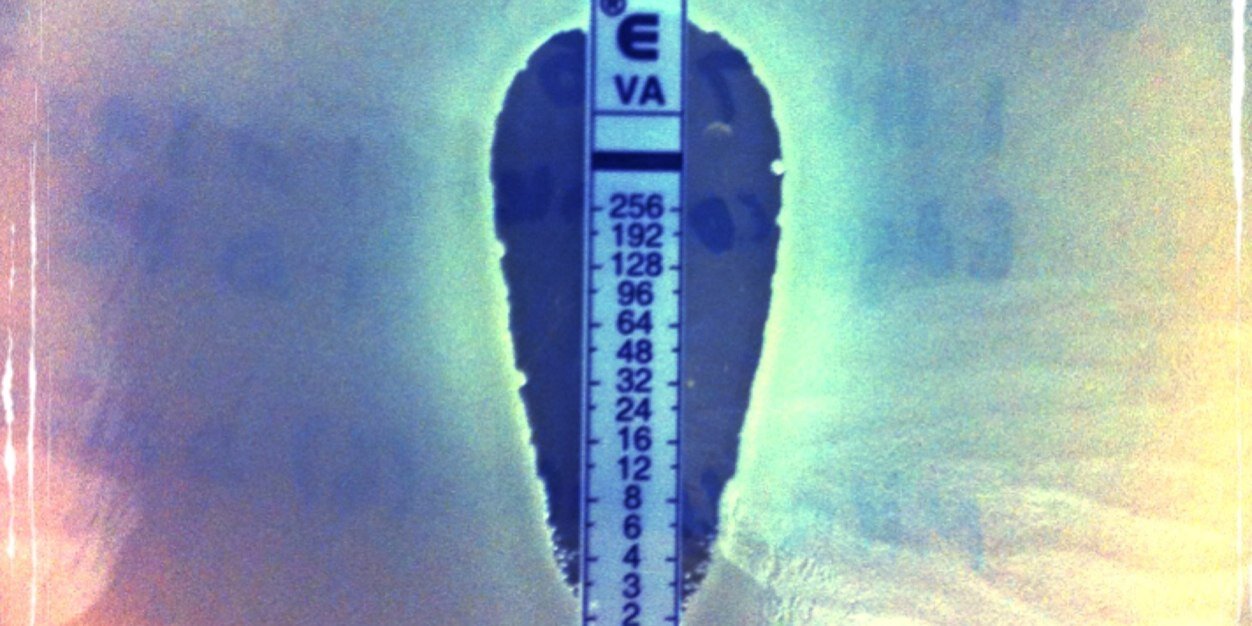 Diane (Gomes)Parente banner