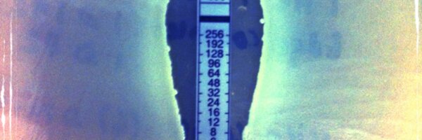 AMSPharmD Profile Banner