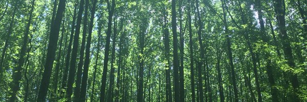 KnightMair27 Profile Banner