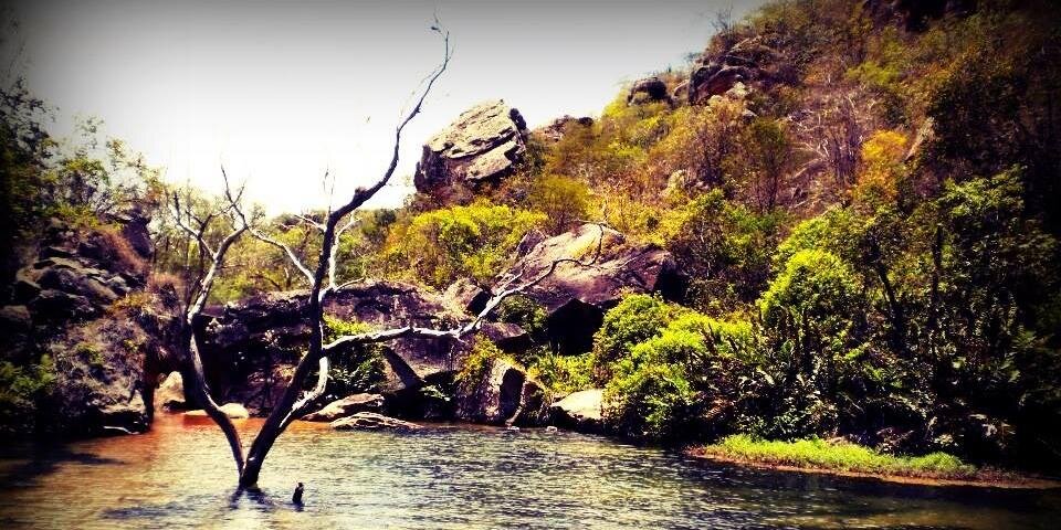 comandocascavel's profile banner image